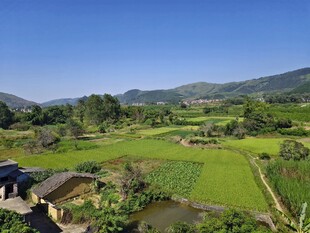 乡村田野