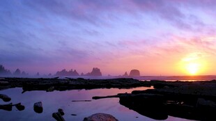 湿地河畔日落风光