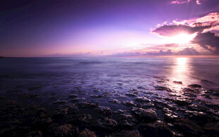 海边紫霞日落美景