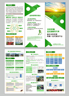 企业三折页