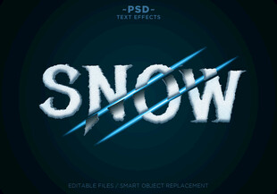 冰雪质感SNOW艺术字