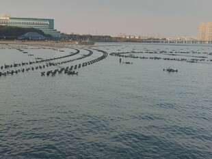 滨海沿岸水域风光