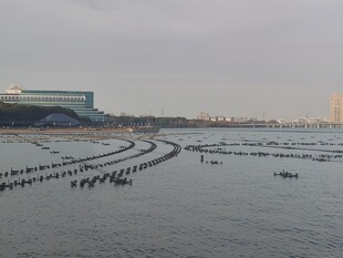 近海养殖海域风光