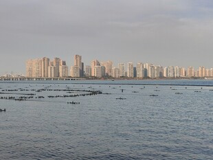 隔岸滨海城市远景
