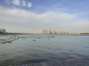 滨海沿岸城市风光