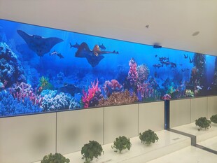 大型室内观景水族箱