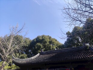 晴日古建山林风光