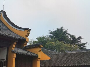 中式古建飞檐一角