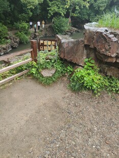 林间休闲步道景观