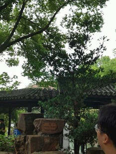 林间树荫下的凉亭