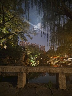 暮色林间湖岸木桥