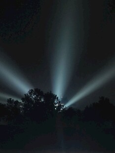 夜晚树林上空的光束