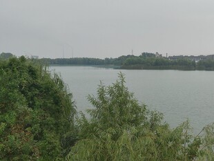 郊野湖畔朦胧风光