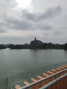 阴天湖景远眺对岸塔楼