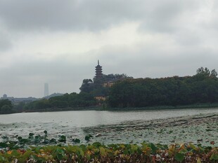 湖岸阴天古塔风光