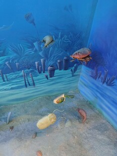 海底游鱼漫游场景