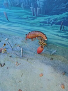 远古海底生物复原