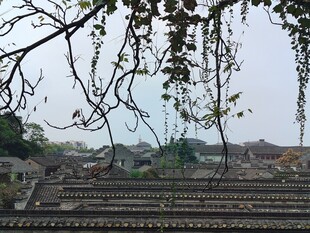 枝桠下的乡村远景