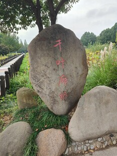 公园刻字景观石
