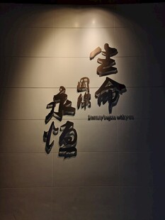 光影下的书法文字
