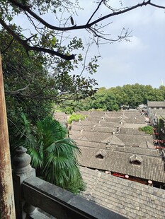 郊野露台自然风景