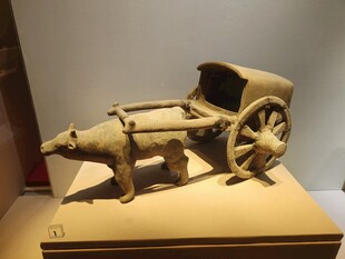 馆藏陶牛车文物展品