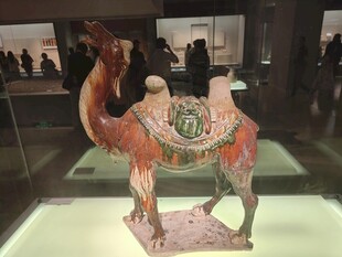 唐三彩骆驼博物馆展品