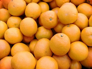 大量新鲜橙子