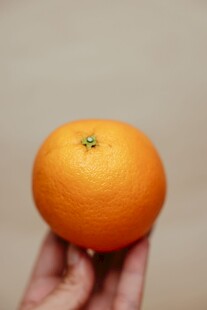 手托新鲜橙子