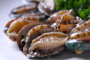 生鲜鲍鱼食材