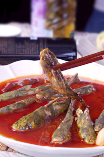 红汤麻辣黄辣丁