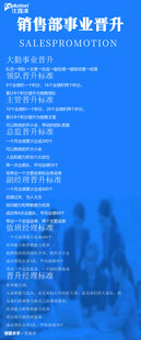 企业销售人才培养晋升公示图