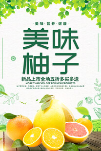 柚子海报