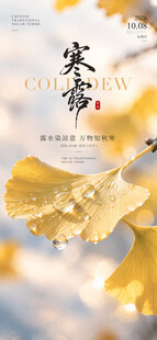 寒露节气银杏唯美海报