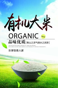 有机大米宣传海报
