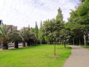 公园风景
