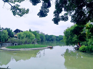 公园湖景