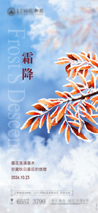 霜降节气手绘海报