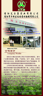 企业宣传简介海报