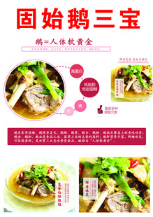 固始鹅三宝美食海报