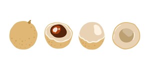 卡通龙眼分解展示