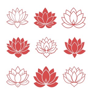 红色莲花素材