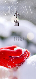 小雪节气冬日主题海报