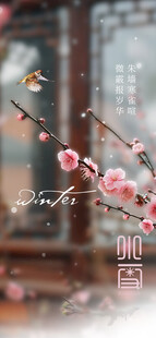 小寒红梅古风意境