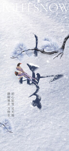 小雪国风创意书法设计海报