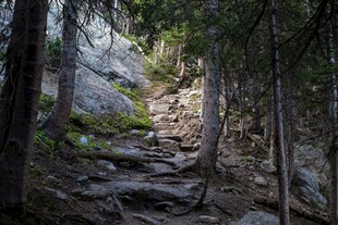 林间山野蜿蜒小路