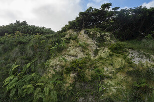 山野坡地自然风光