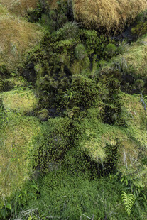 山林绿植自然景观