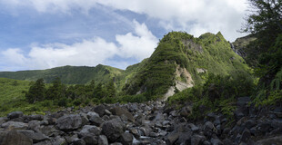 郊野青山晴日风光