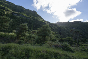郊野青山自然风光